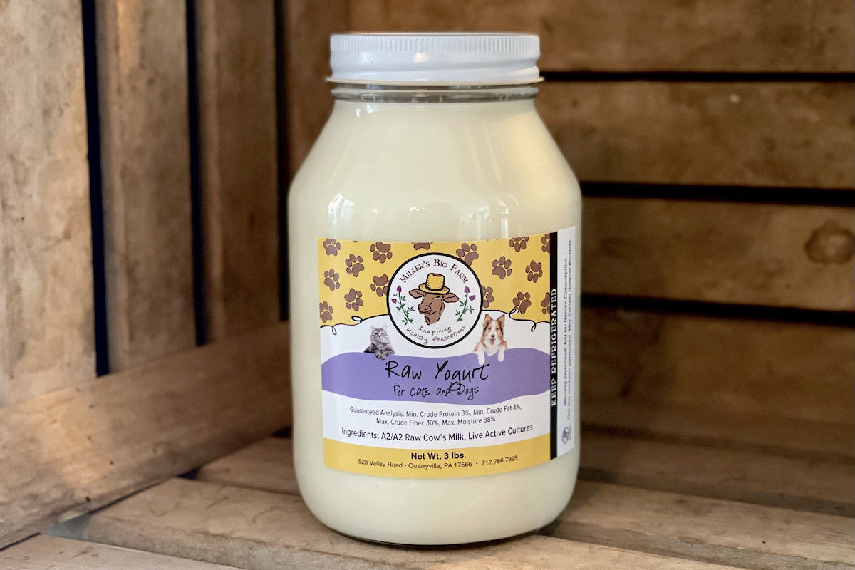 1 quart - Raw A2/A2 Pourable Yogurt for Cats & Dogs