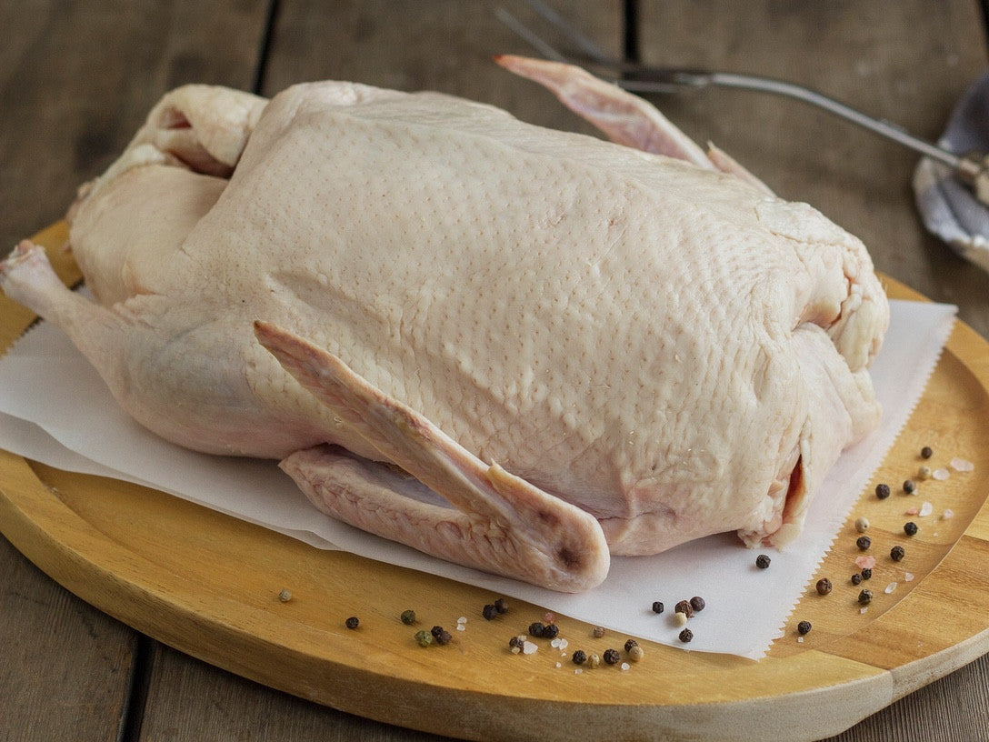 Whole Corn and Soy Free Duck