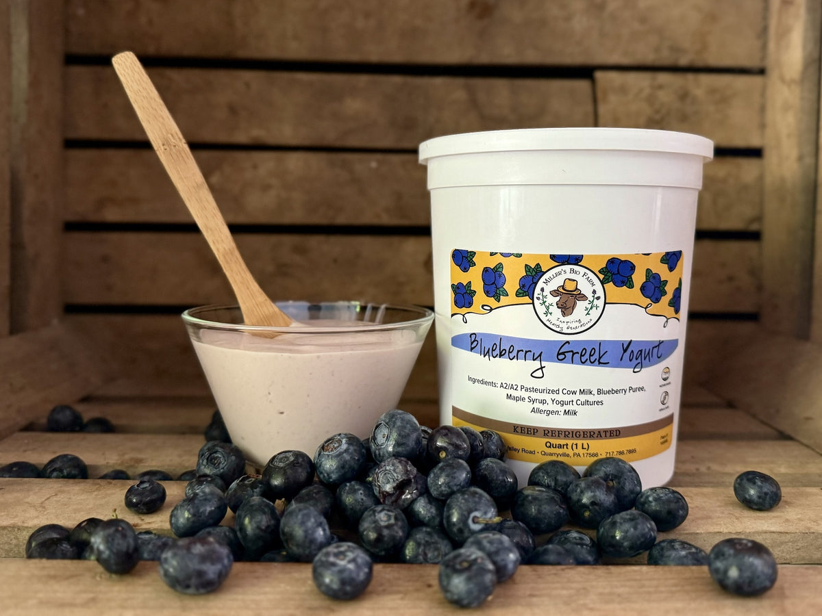 1 quart - Blueberry Greek A2/A2 Yogurt