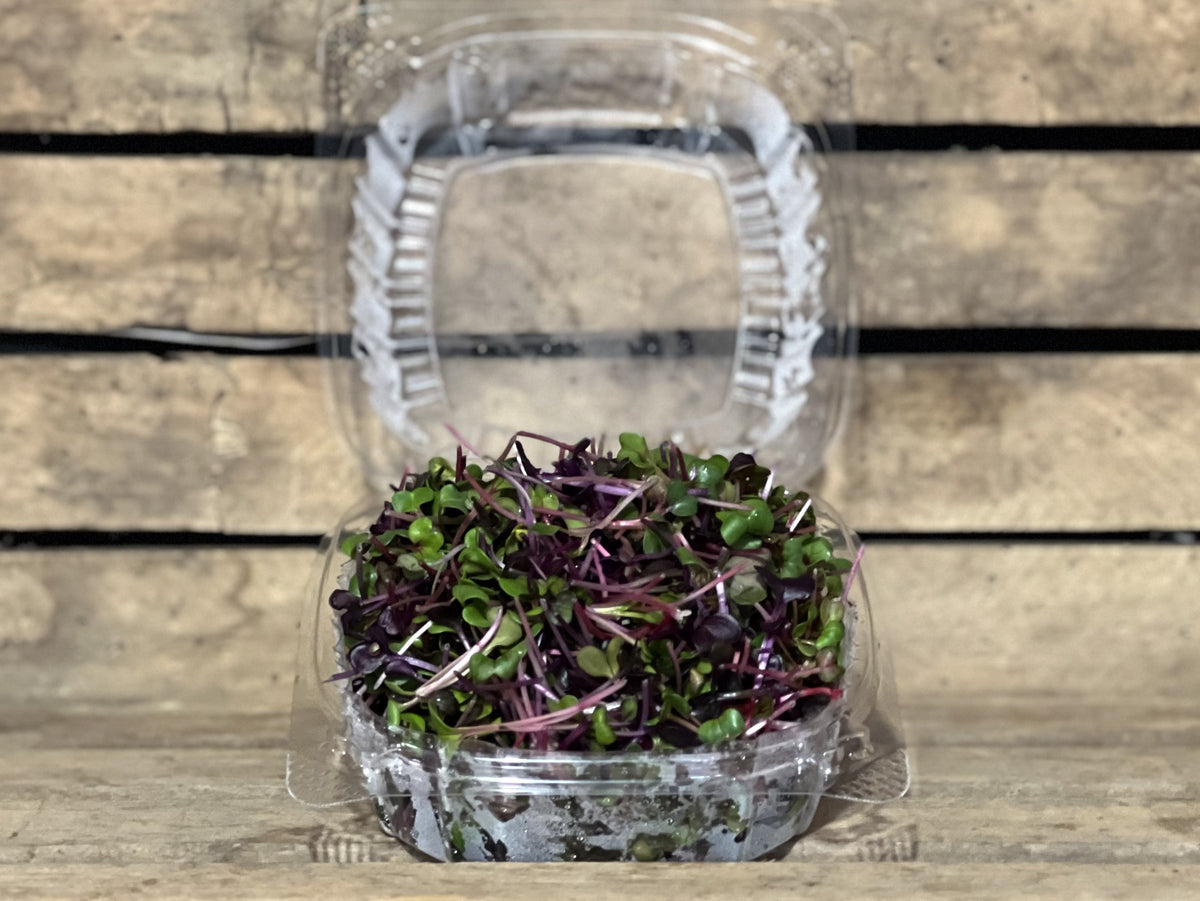 Microgreens (1 pint)