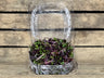 Microgreens (1 pint)
